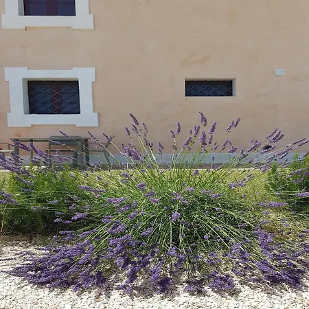 Manor In Marche Near Adriatic Beaches 别墅