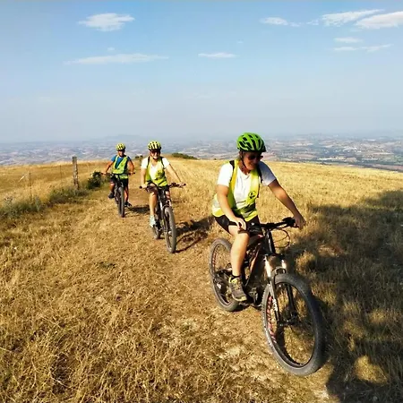 Manor In Marche Near Adriatic Beaches Монсано